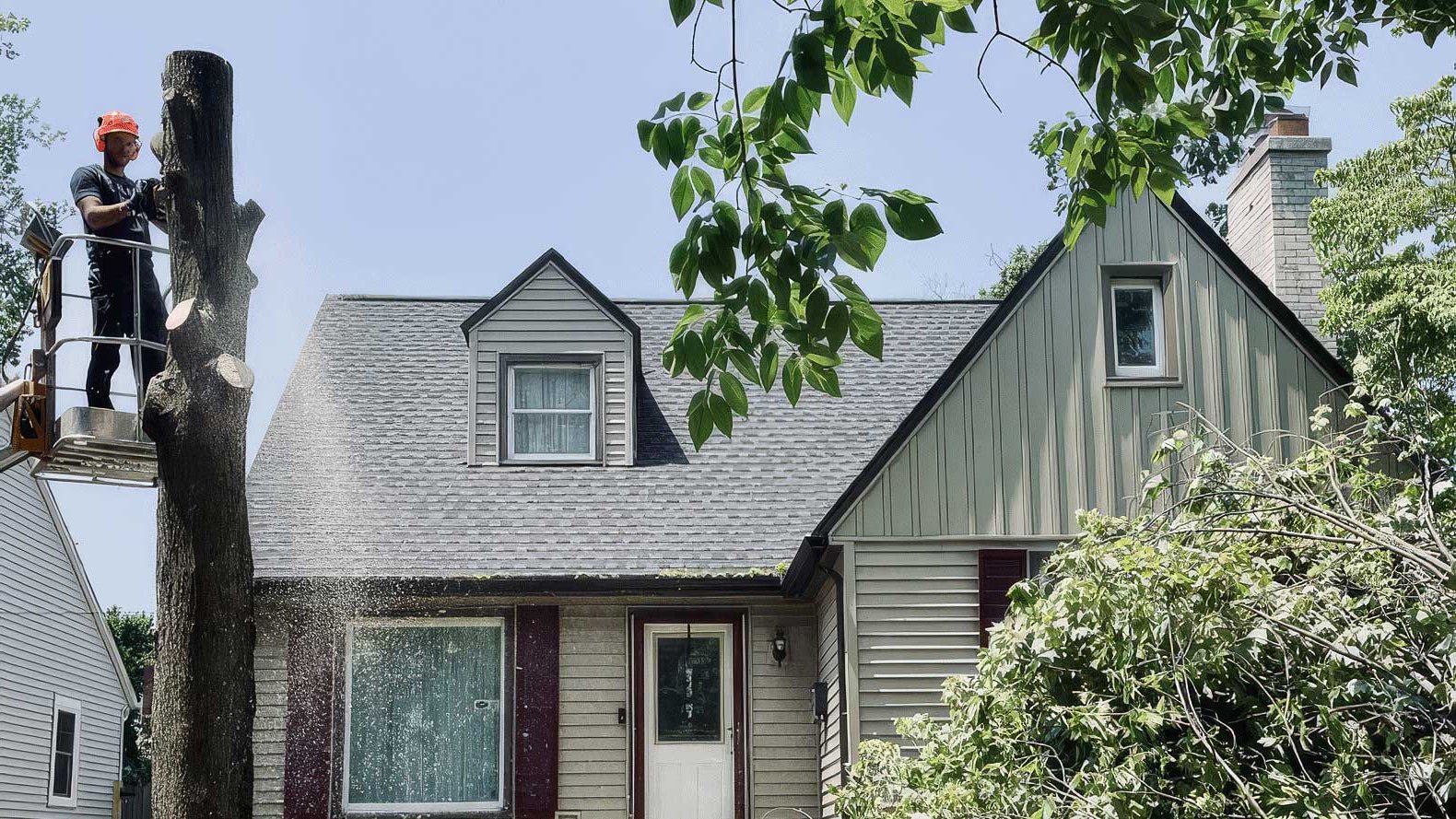 Eli’s Tree Service | Tree Removal & Trimming in West Michigan