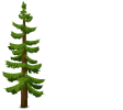 Eli's Tree Service - Logo v1.1 - White - cropped